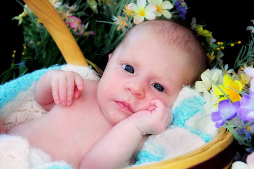 baby in basket surrounded by flowers